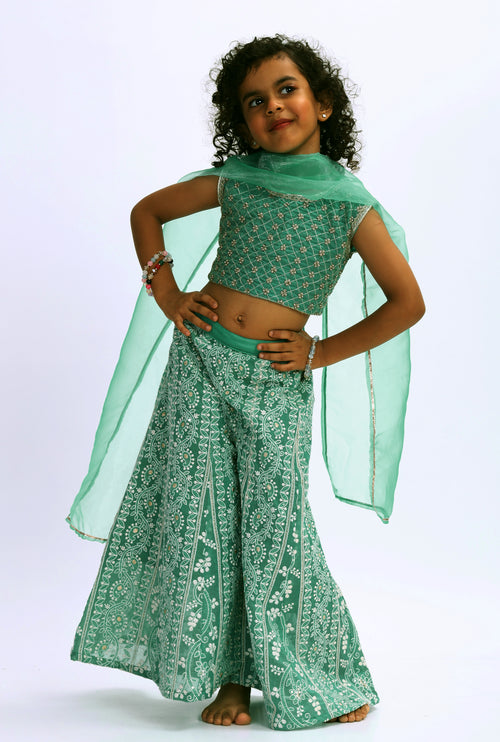 Lucknowi Chikan Rama Green Sharara