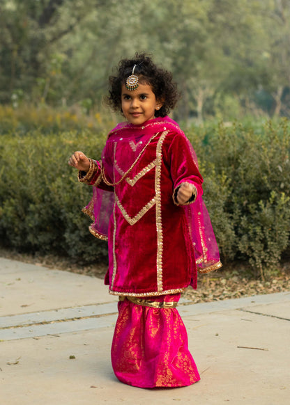 Rani Pink Velvet Banarsi Gharara Set