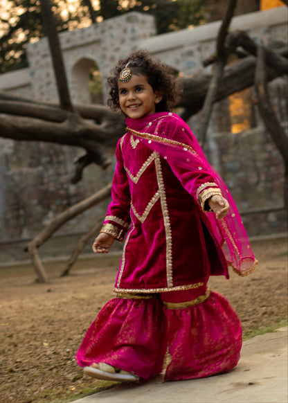 Rani Pink Velvet Banarsi Gharara Set