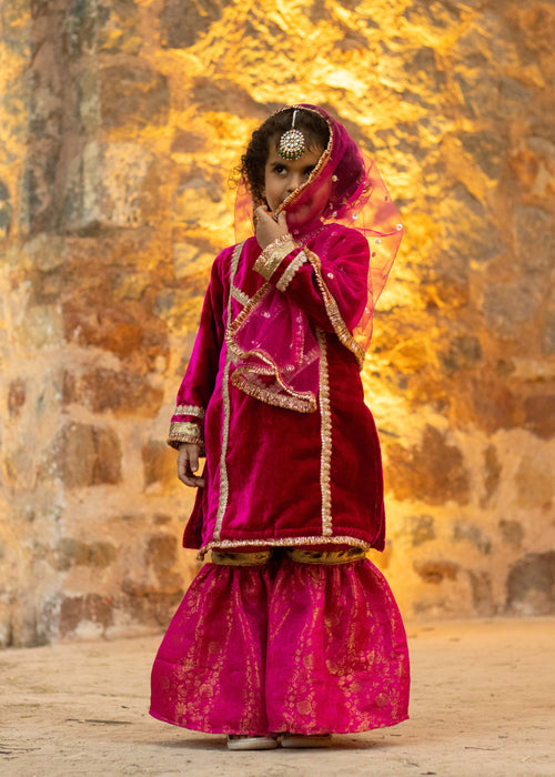 Rani Pink Velvet Banarsi Gharara Set